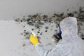 Mold Removal for HVAC Installations in Markham, IL